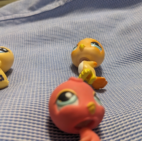 Birds 975, 1995, 2463 RARE, 497, 976 - Picture 4 of 10